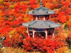 -狼牙山风景区