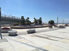 景点-演武大桥观景平台