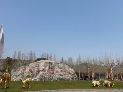 -上海海湾国家森林公园