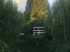 -兰溪青年公园