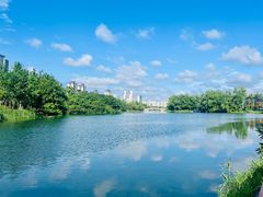 -洋湖国家湿地公园