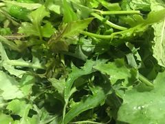 -黔府豆米火锅野菜馆(南马店)