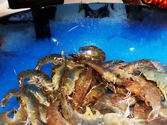 -加餐海鲜自助(宝龙一城店)