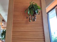 -东湖34号餐厅·湖北菜