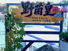 -野菌皇海景野生菌火锅(滨海大道店)