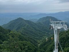 -栾川竹海野生动物园