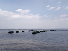 -抚仙湖禄充风景区