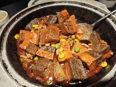 菌香自制豆腐-三强鸽子(中原路店)