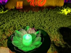 -印象普陀
