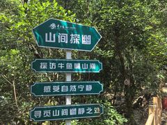 -牛鱼嘴原始生态风景区
