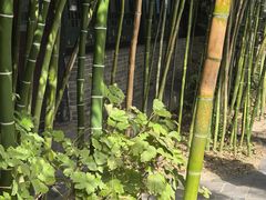 -王家大院