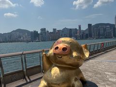 -星光大道
