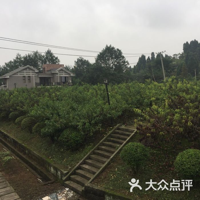 天醉园枇杷山庄