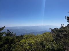 -王顺山国家森林公园