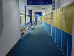 -奥体中心游泳馆