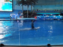 -海合安成都极地海洋公园