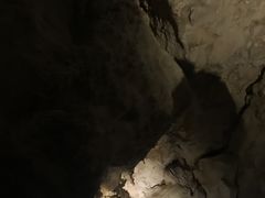 -怀托摩萤火虫洞