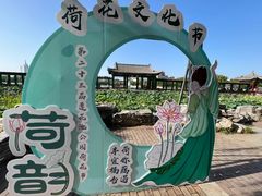-莲花池公园