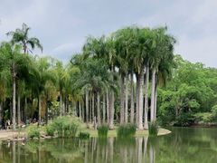 -中国科学院西双版纳热带植物园
