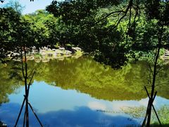 -东莞市大岭山森林公园