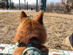 -渭河城市绿地运动公园