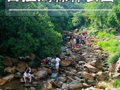-广州白江湖森林公园