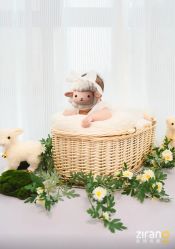 -暖摄影 孕妇写真家庭影像馆 (自然光主题店)