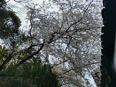 -鼓楼(西湖风景名胜区)