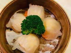 虾饺皇-禄興記香港大排档(歌斐中心店)