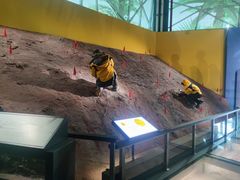 -湖南省地质博物馆