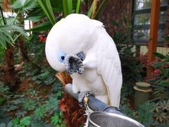 -南宫五洲植物乐园