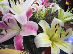 -杯子红牛排(西樵店)