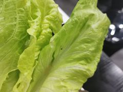 -喔爸韩国料理(环球银泰城店)