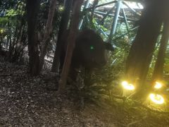 -长鹿旅游休博园