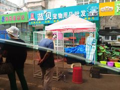 -哈尔滨道外花鸟鱼市场