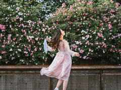 -丹东路渡口(轮渡站)