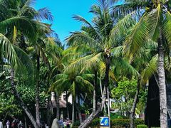 -海南分界洲岛旅游区