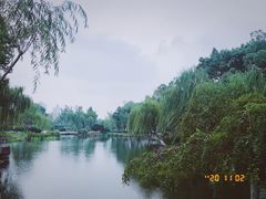 -月湖公园