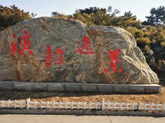 -塘沽森林公园