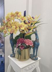 -久匠·纹眉半永久野生眉