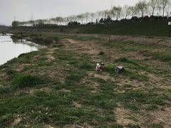 -洨河生态公园