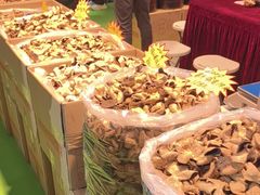 -国家会议中心大酒店