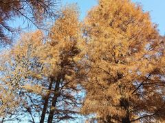 -南山风景名胜区