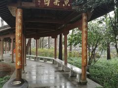 -西湖外事游船(花港观鱼码头)