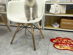 -安安宠医·臻爱宠物医院·宠保定点(营门口路分院)