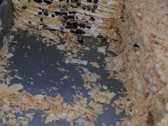 -爱德顺糕点食屋(利民道店)