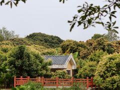 -鹤之洲湿地公园