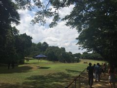 iphone_upload_pic-新加坡总统府