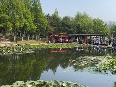-前关湿地公园