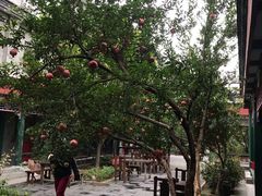 -北京和园国际青年客栈